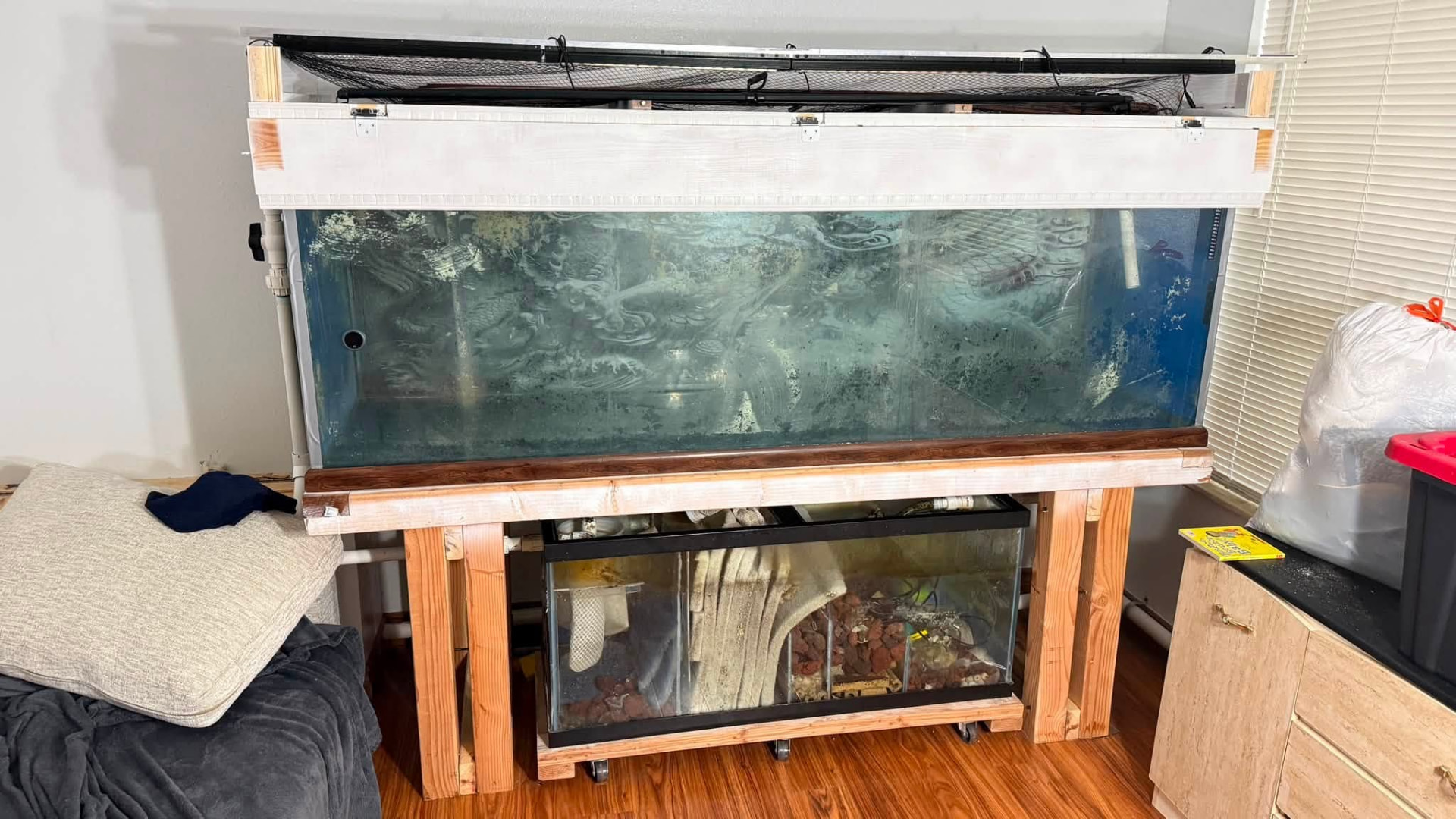 Large aquarium setup removed during a home cleanout