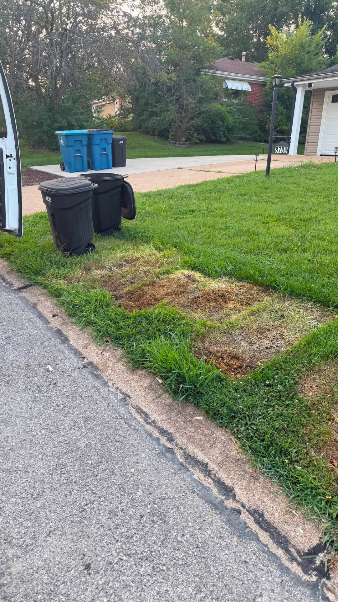 Trash bins and yard waste collected curbside